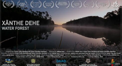 Xänthe Dehe (Water Forest) – Climate Space