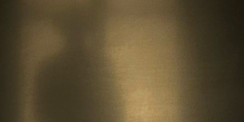 <em>Walden</em> – Ludovico Einaudi